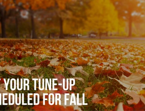 Why Get a Fall Furnace Tune-Up?