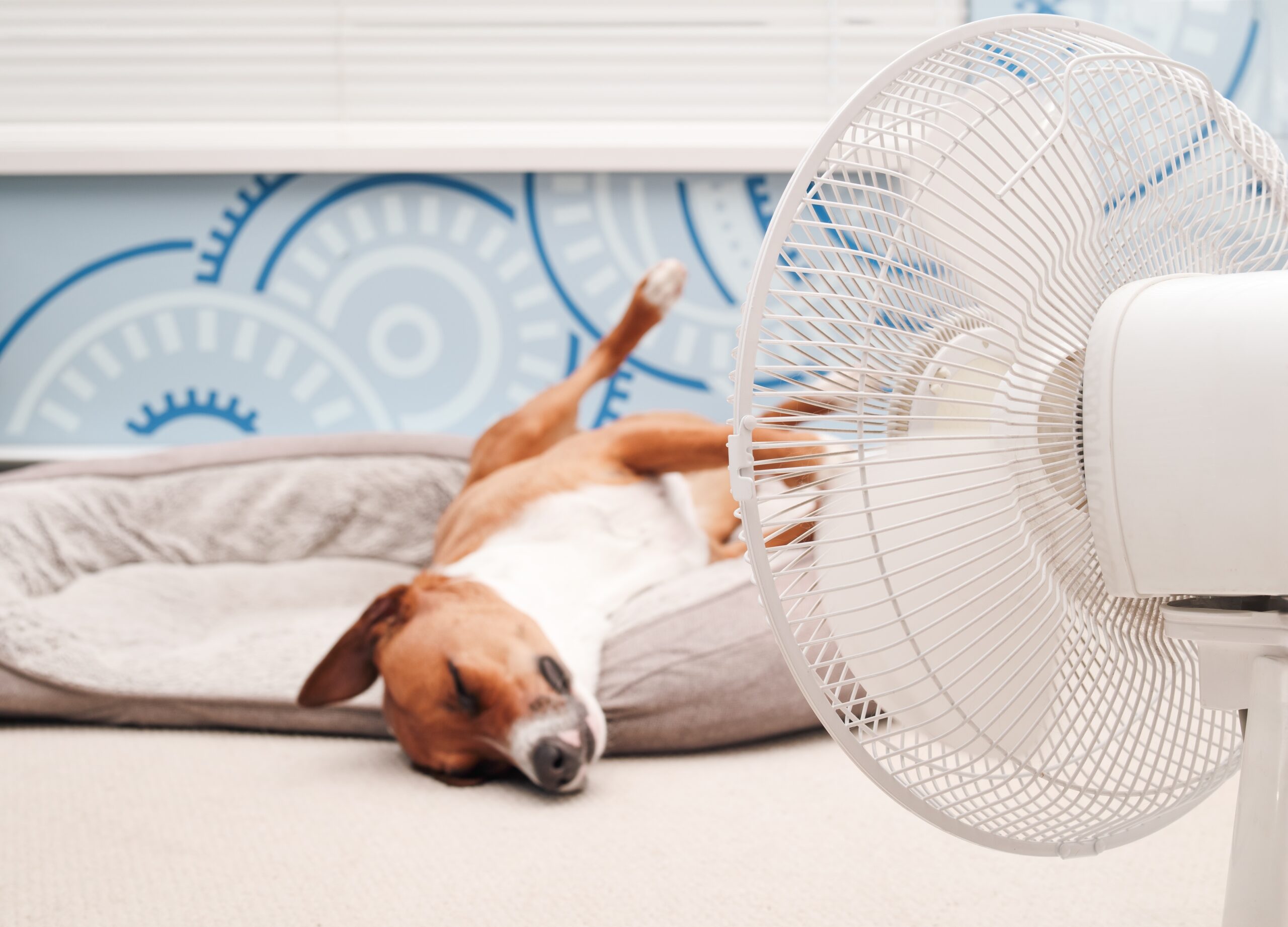 Beat the Heat: Is It Time to Replace Your HVAC System?
