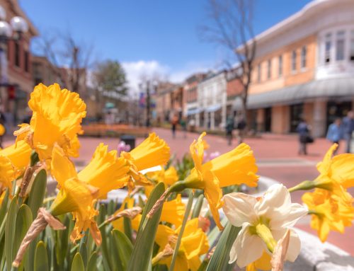 Spring in Colorado: Warm Days, Surprise Snowstorms. Is Your Furnace & AC Ready?