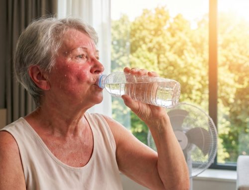 Beat the Heat: Why Your AC Blows Warm Air or Freezes Up in July